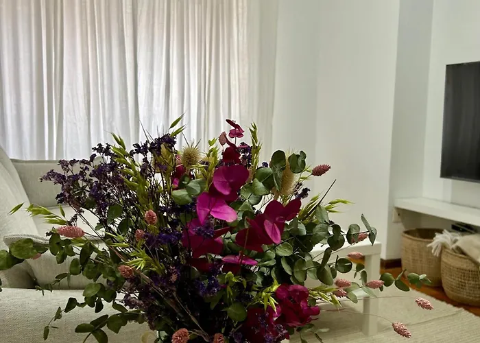 Apartment Da Barreira *